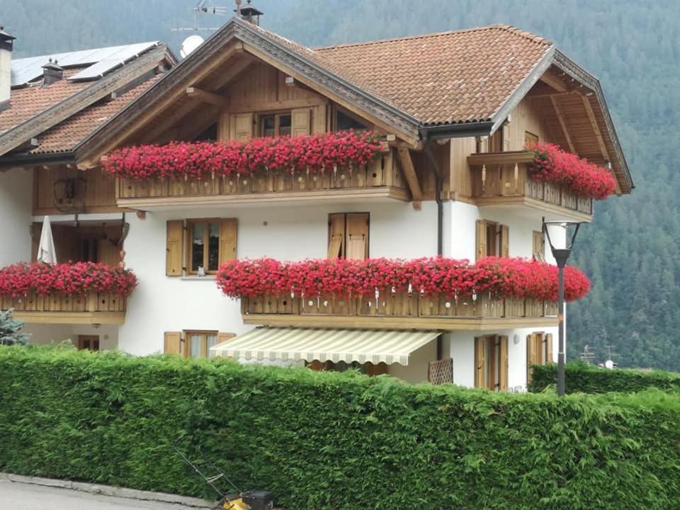 Appartamento Mansarda Patrizia E Franco Val Di Sole Commezzadura Exteriér fotografie