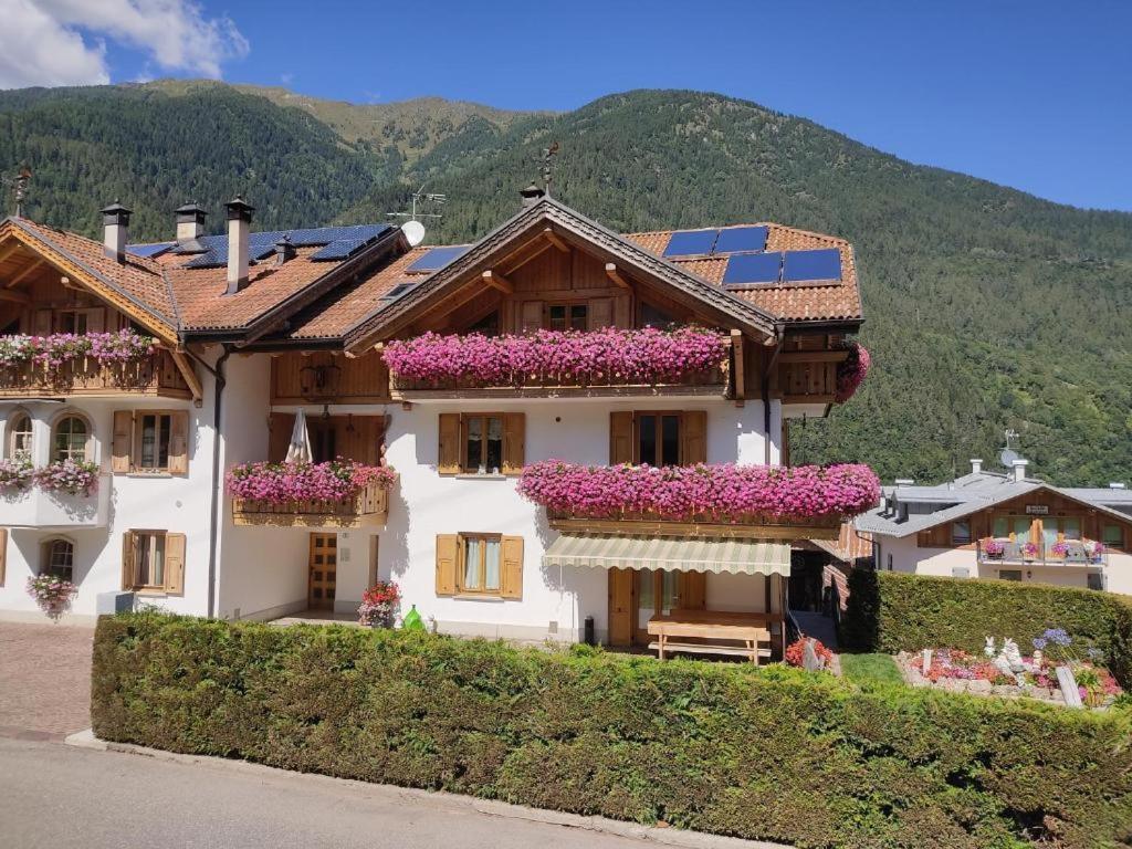 Appartamento Mansarda Patrizia E Franco Val Di Sole Commezzadura Exteriér fotografie
